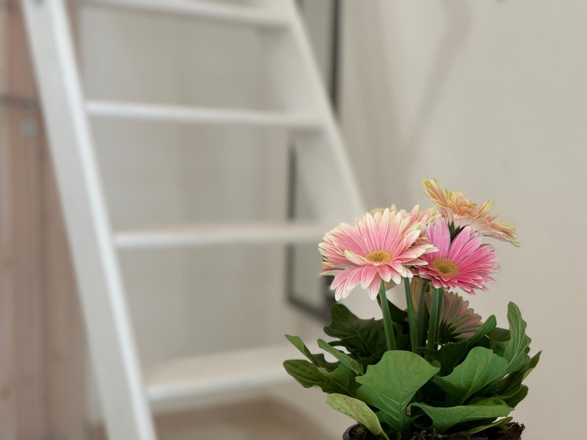 Casa Ostuni Mono Lovely Ngoại thất bức ảnh